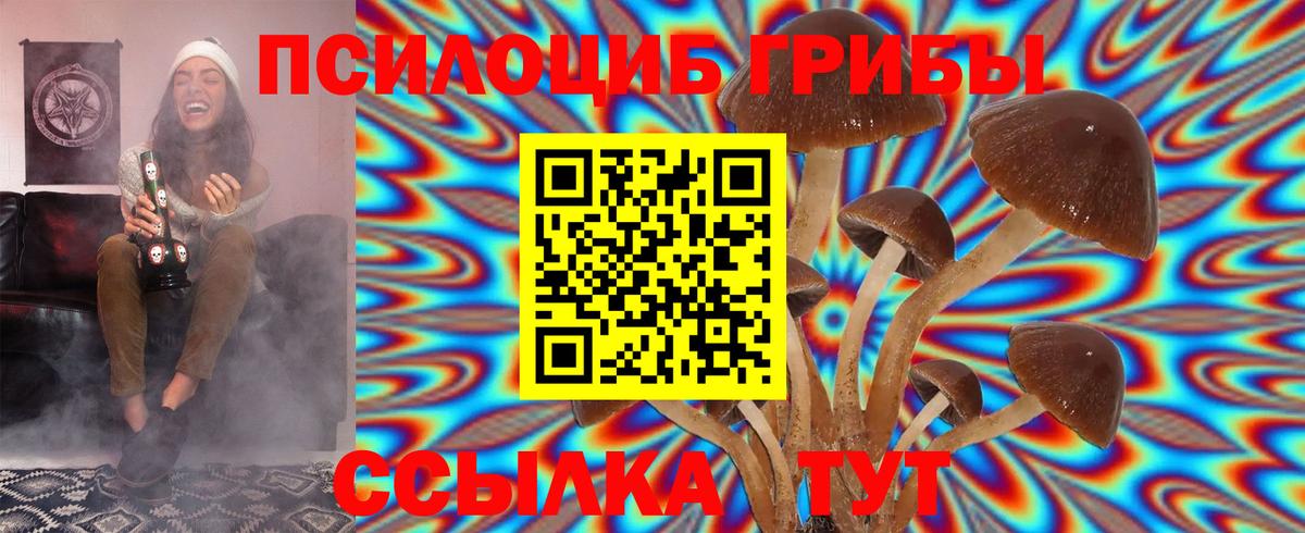 Галлюциногенные грибы GOLDEN TEACHER Россошь