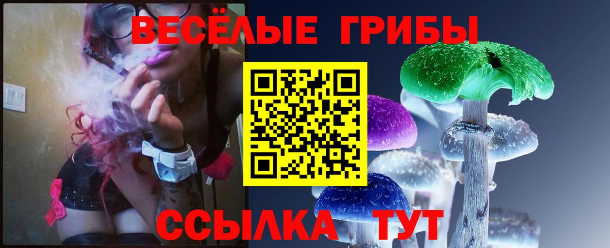 Псилоцибиновые грибы MAGIC MUSHROOMS  Псилоцибиновые грибы мухоморы  Россошь  Вход с VPN 